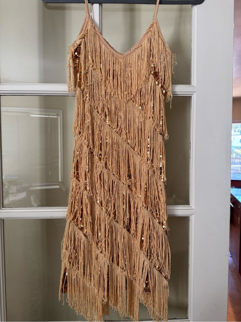 1920s Flapper Fringe Sequin Dress | Gatsby Halloween Costume | Women’s